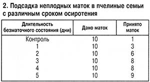 Подсадка неплодных маток