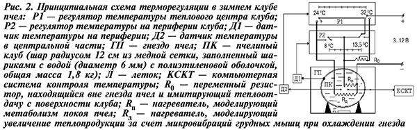 Схема терморегуляции зимнего клуба