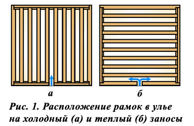 Расположение рамок в улье