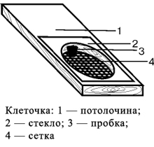 клеточка