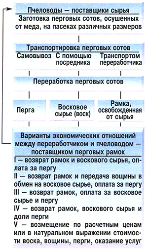 Схема экономических отношений пчеловода и переработчика