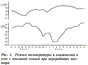 Температурный режим в улье