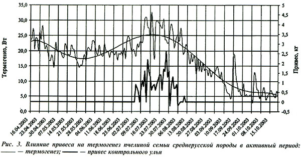 Влияние привеса на термогенез пчелиной семьи
