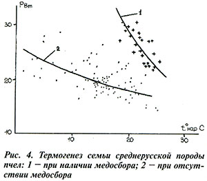 Термогенез пчелиной семьи среднерусской породы