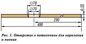 Отверстие в потолочине