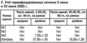 Учет мумифицированных личинок