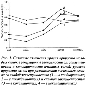 Прирост молодых самок клеща варроа