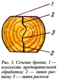 Сечение бревна
