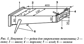 ловушка для роя