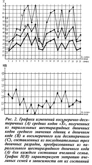 энтропия пчелиных семей