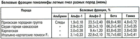 Белковые фракции гемолимфы разных пород пчел