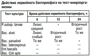 Действие бактериофага