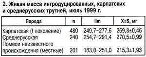 Живая масса трутней