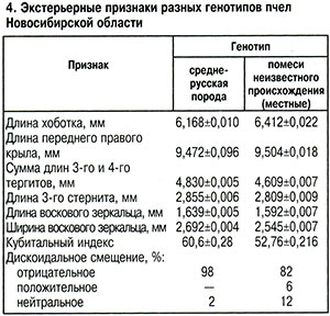 Экстерьерные признаки пчел