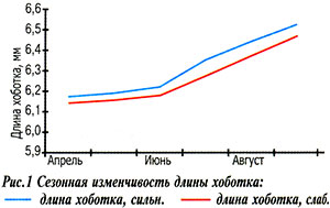 Изменчивость длины хоботка