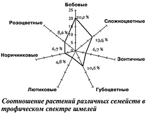 Соотношение растений в трофической спектре шмелей