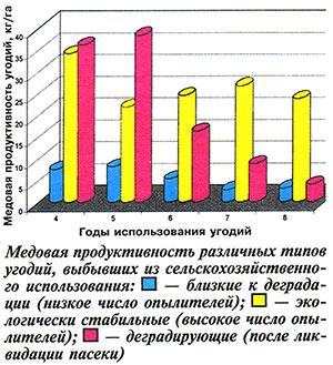 Медовая продуктивность