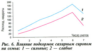 Влияние сахарного сиропа на пчел
