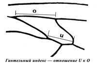 определение гантельного индекса