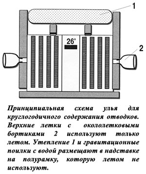 Конструкция улья