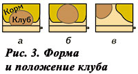 Форма и положение клуба