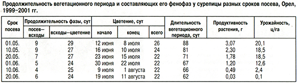 Продолжительность фенофаз у сурепицы