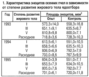 Характеристика эноцитов