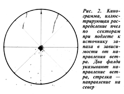 2. Анемотаксис