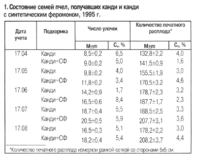 состояние семей пчел