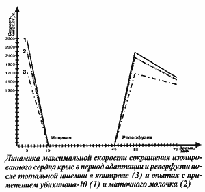 сокращения сердца крыс