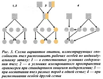 Схема опытов