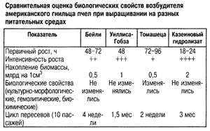 Оценка возбудителя американского гнильца