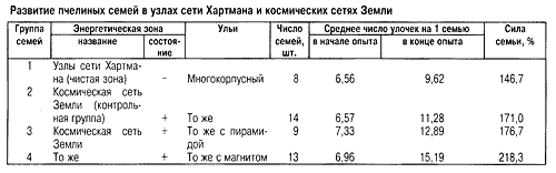 Развитие пчелиных семей в узлах сетки Хартмана