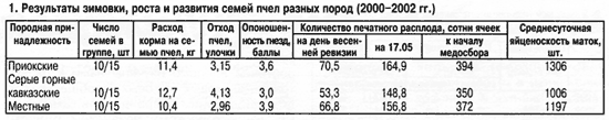 Зимовка пчел