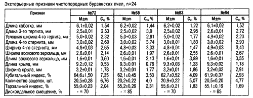 Экстерьерные признаки бурзянских пчел