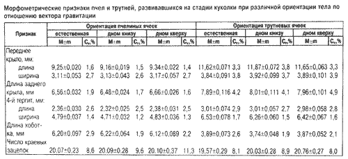 Морфометрические признаки трутней и пчел