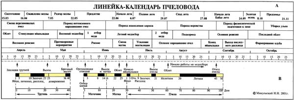 Линейка календарь пчеловода