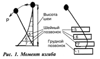 изгиб шеи