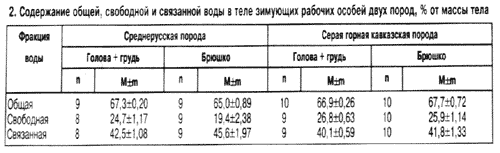 Связанная вода в теле пчел