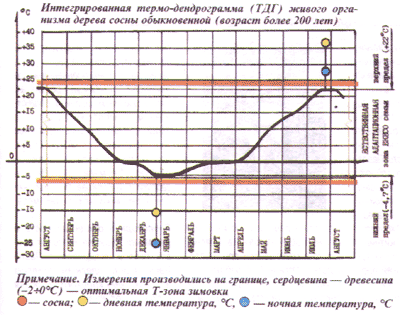 Термо-дендрограмма