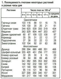 посещаемость пчелами растений