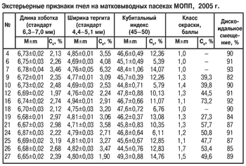 Экстерьерные признаки пчел