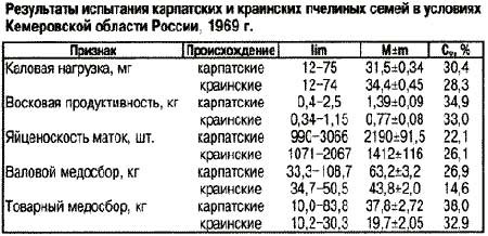 испытания карпатских и краинских пчелиных семей