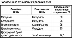 Родственные отношение у рабочих пчел