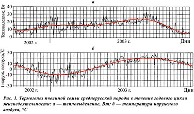 Ттермогенез пчелиной семьи