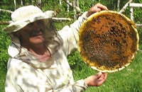 круглая рамка