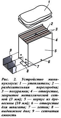Конструкция мини-нуклеуса