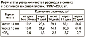 Учет количества расплода в семьях с различной шириной улочек