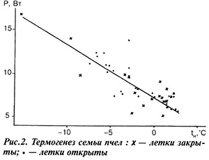 Термогенез семьи пчел