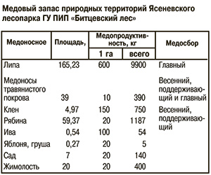 Медовый запас